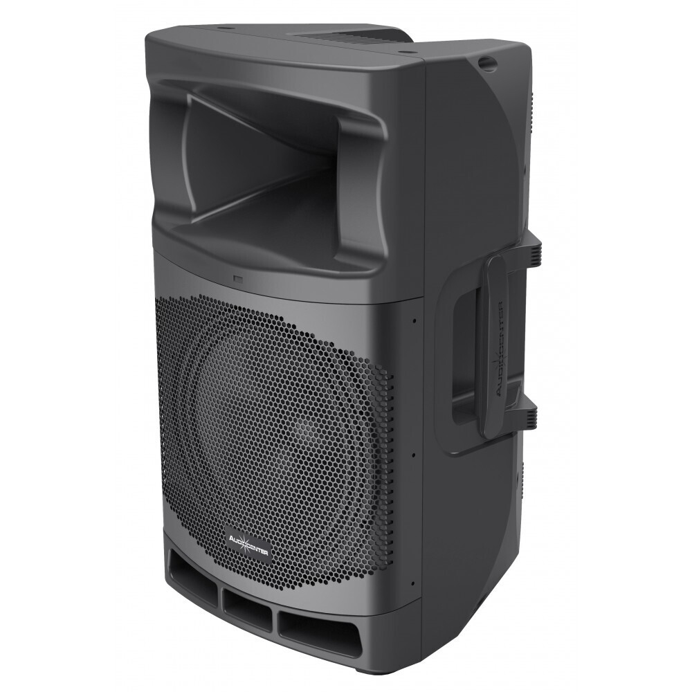 Audiocenter MA12 активная акустическая система в Мариинске