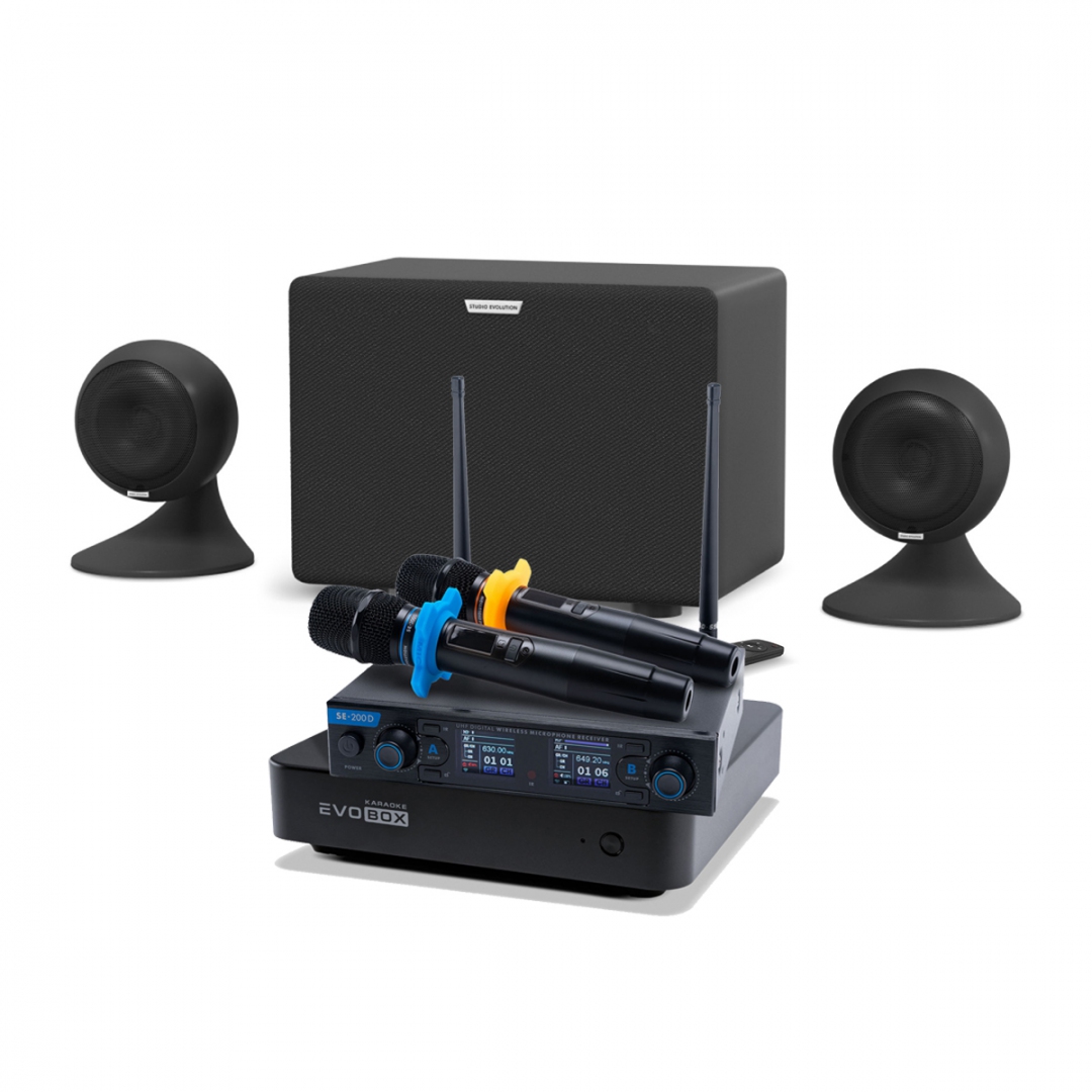 караоке-комплект EVOBOX + EvoSound Sphere 2.1 в Мариинске