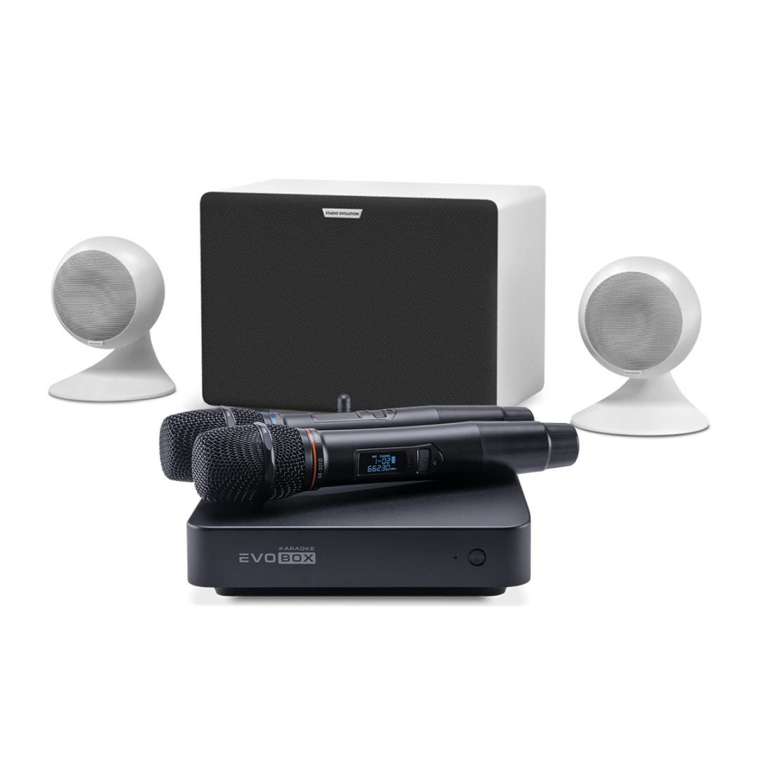 караоке-комплект EVOBOX Classic + EvoSound Sphere 2.1 в Мариинске
