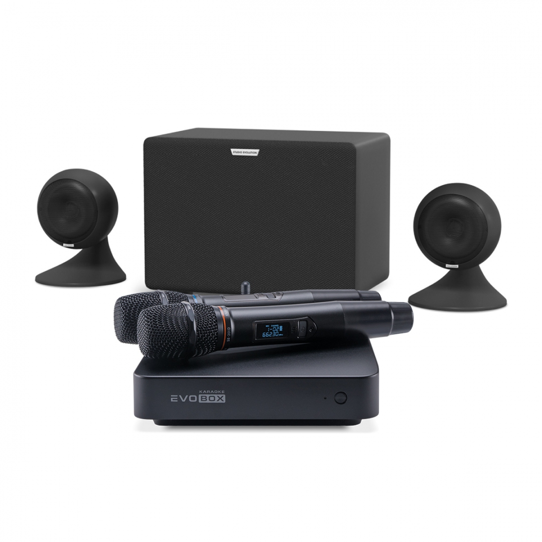 караоке-комплект EVOBOX Plus + EvoSound Sphere 2.1 в Мариинске