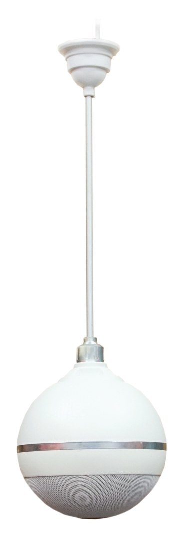 SVS Audiotechnik BWS-603 Громкоговоритель подвесной потолочный в Мариинске