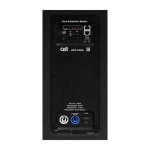 Активная акустическая система AST-310A в Мариинске