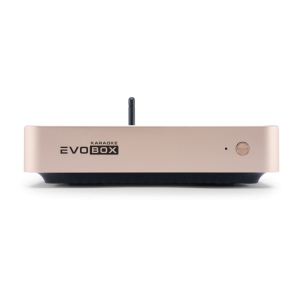 EVOBOX Classic караоке-система для дома в Мариинске