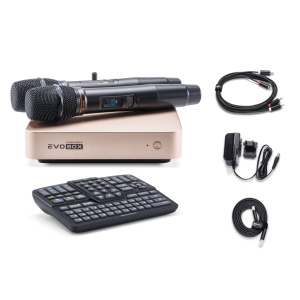 EVOBOX Classic караоке-система для дома в Мариинске