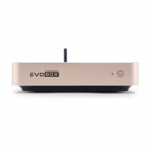 EVOBOX Plus караоке-система для дома в Мариинске