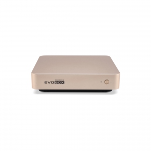 EVOBOX с микрофонами в Мариинске